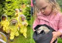 Children beekeeping and caring for animals at Evergreen Forest Nursery