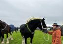 The Royal Lancashire Agricultural Show 2023 was a hit once again despite the weather doing its best to dampen spirits