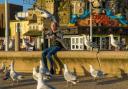 People in Blackpool say the town is being plagued by hungry and angry seagulls SWNS/L.B Photography
