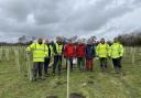 The tree planting team on site at Lower Gill