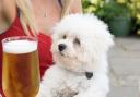 There are lots of dog-friendly pubs in Blackpool - here are five you can enjoy