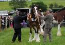 A past Great Harwood Show