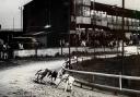 Blackburn greyhound stadium, June 1984