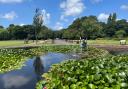 Police have launched an investigation after the body of a woman was found in a pond at Lowther Gardens in Lytham