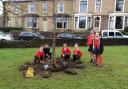Year four pupils of St Peters School in Simonstone planted bulbs to mark 100th anniversary of RAF