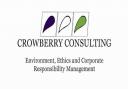 Crowberry Consulting Ltd and Future Energy Programme