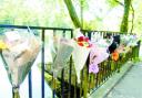 TRIBUTES: Flowers adorn the railings at Oueen’s Park, Blackburn, in memory of Mr Folkes