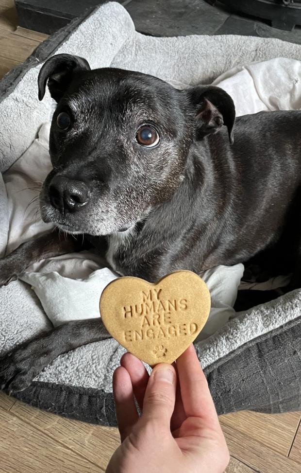 Lancashire Telegraph: Graham Liver's dog, Toby, with an engagement biscuit
