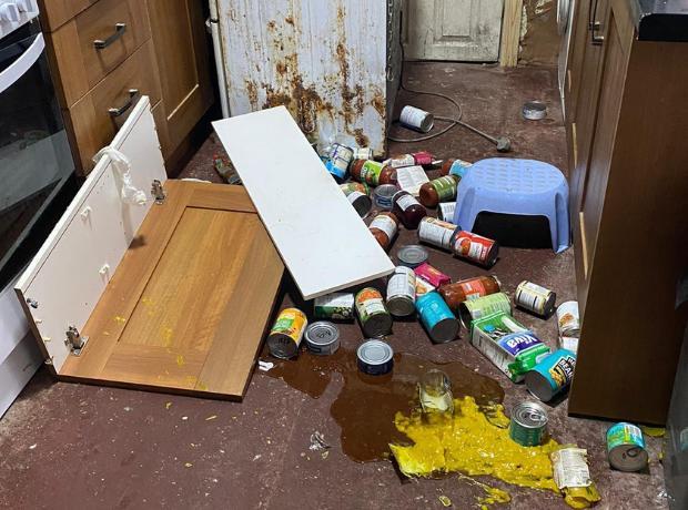 Lancashire Telegraph: Blackburn mum-of-six 'forced to live upstairs in rat-filled home'