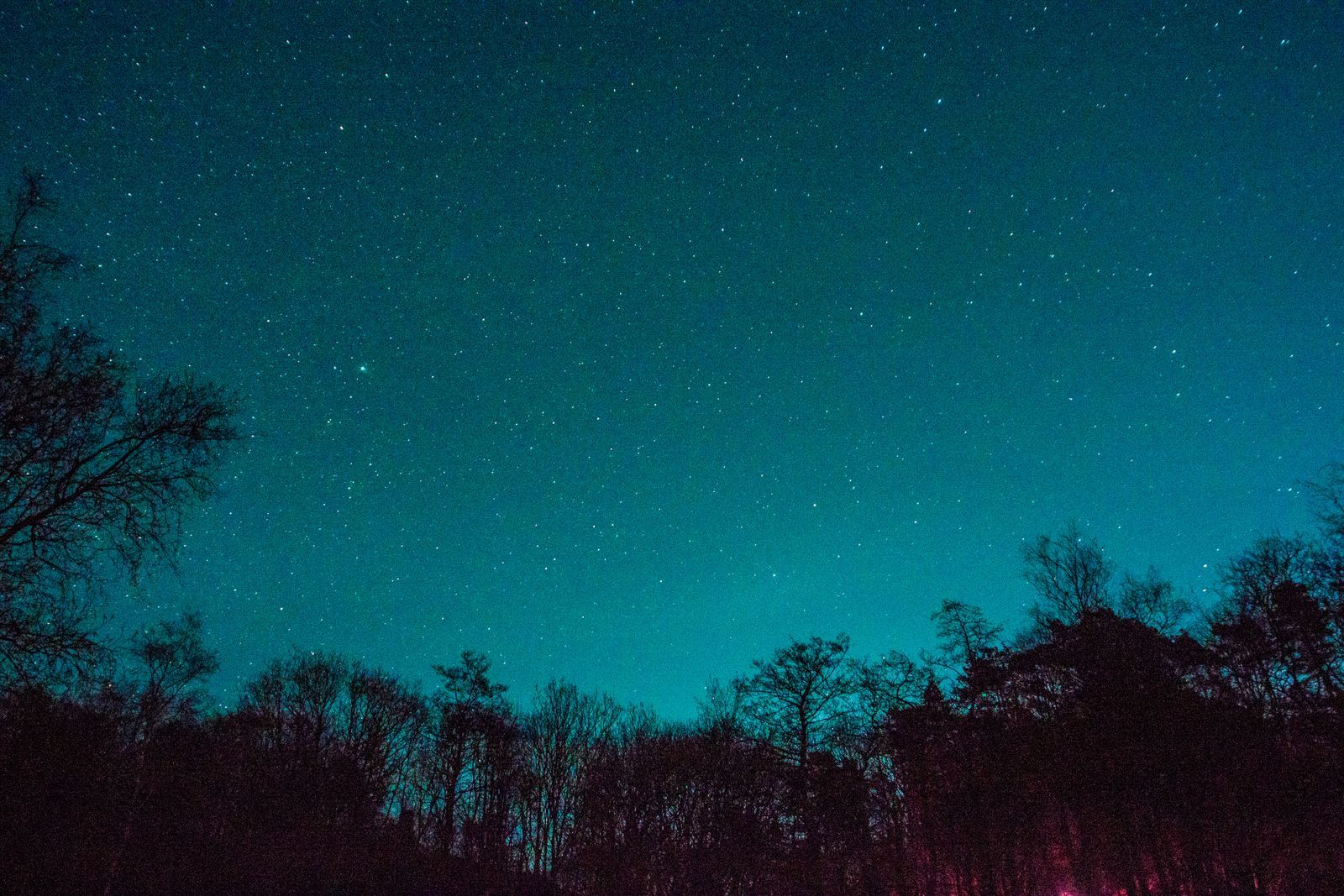 Forest of Bowland: Dark Skies Festival set for February - Vimarsana News
