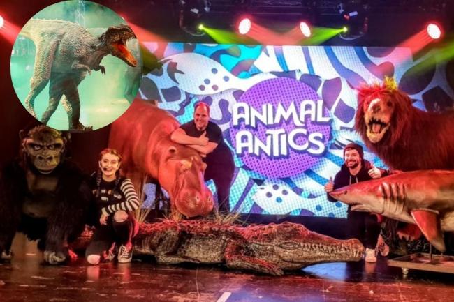 The Animal Antics tour is coming to Blackburn (Photo: The Animal Guyz)
