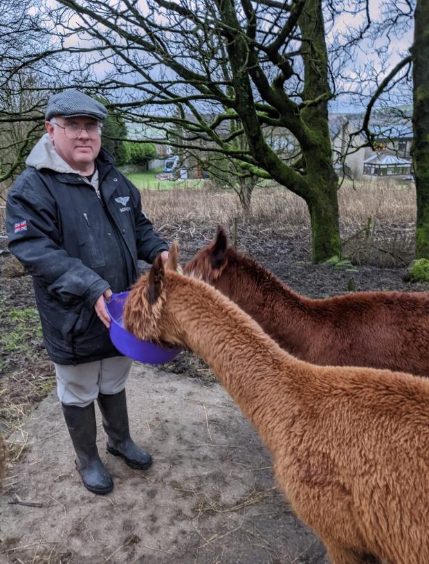 Lancashire Telegraph: Paul Wise feeding alpacas at the Bacup farm