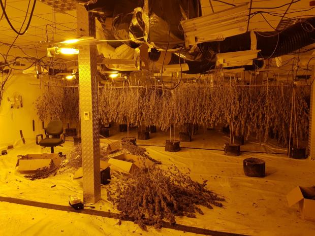 Lancashire Telegraph: A cannabis farm was found in Burnley
