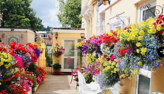 Lancashire Telegraph: Crowndale Hotel, Torquay - Devon. Credit: Tripadvisor Lancashire Telegraph: Crowndale Hotel, Torquay - Devon. Credit: Tripadvisor