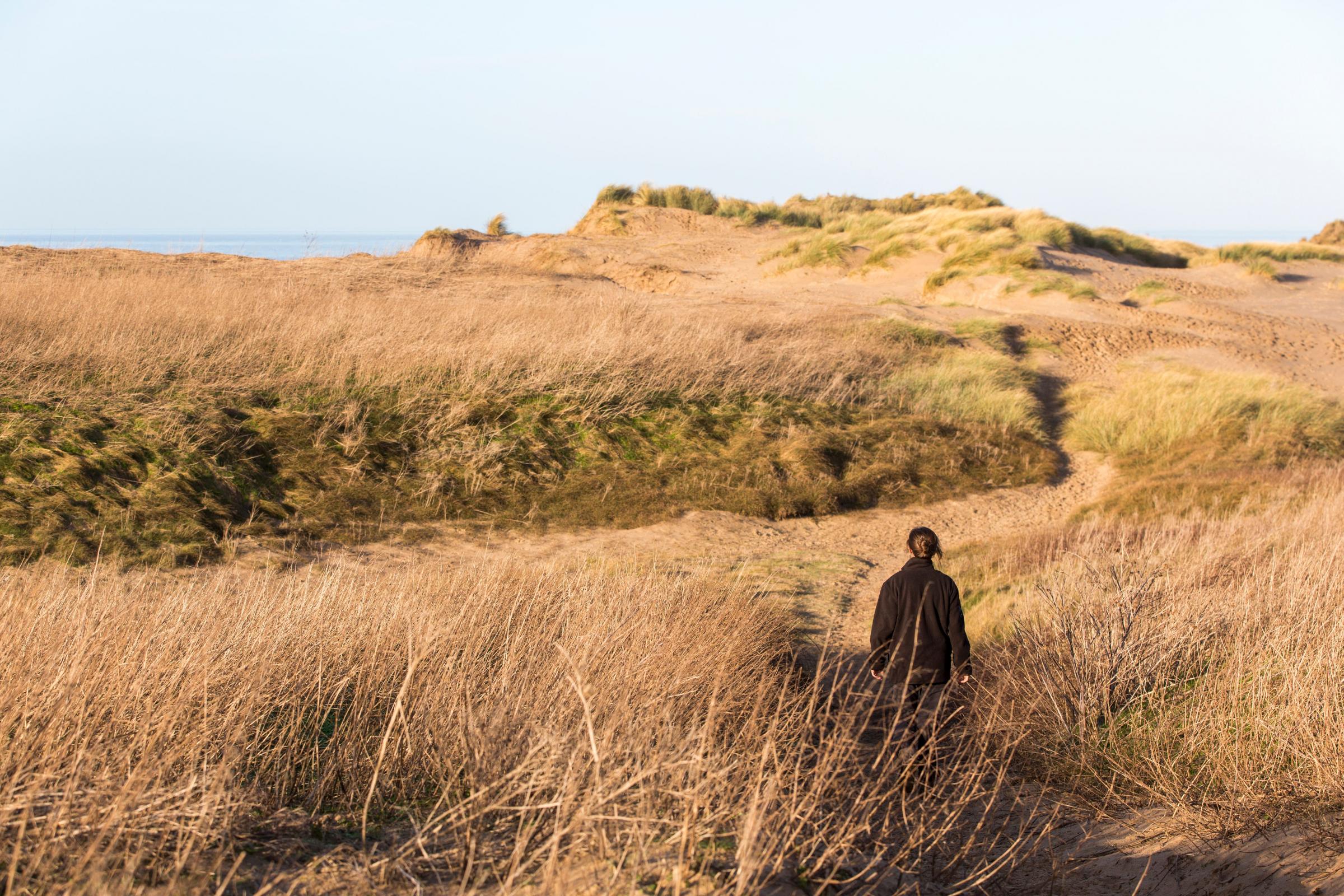 New life for old tobacco dump in sand dune landscape to help nature - Vimarsana News