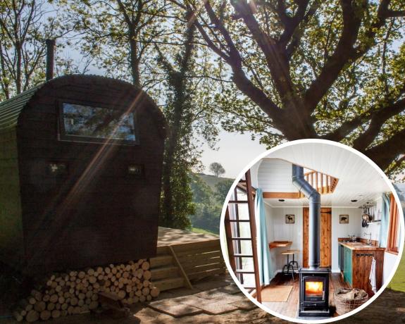 Lancashire Telegraph: The Hide Out in Udimore, East Sussex. Picture: Airbnb Lancashire Telegraph: The Hide Out in Udimore, East Sussex. Picture: Airbnb