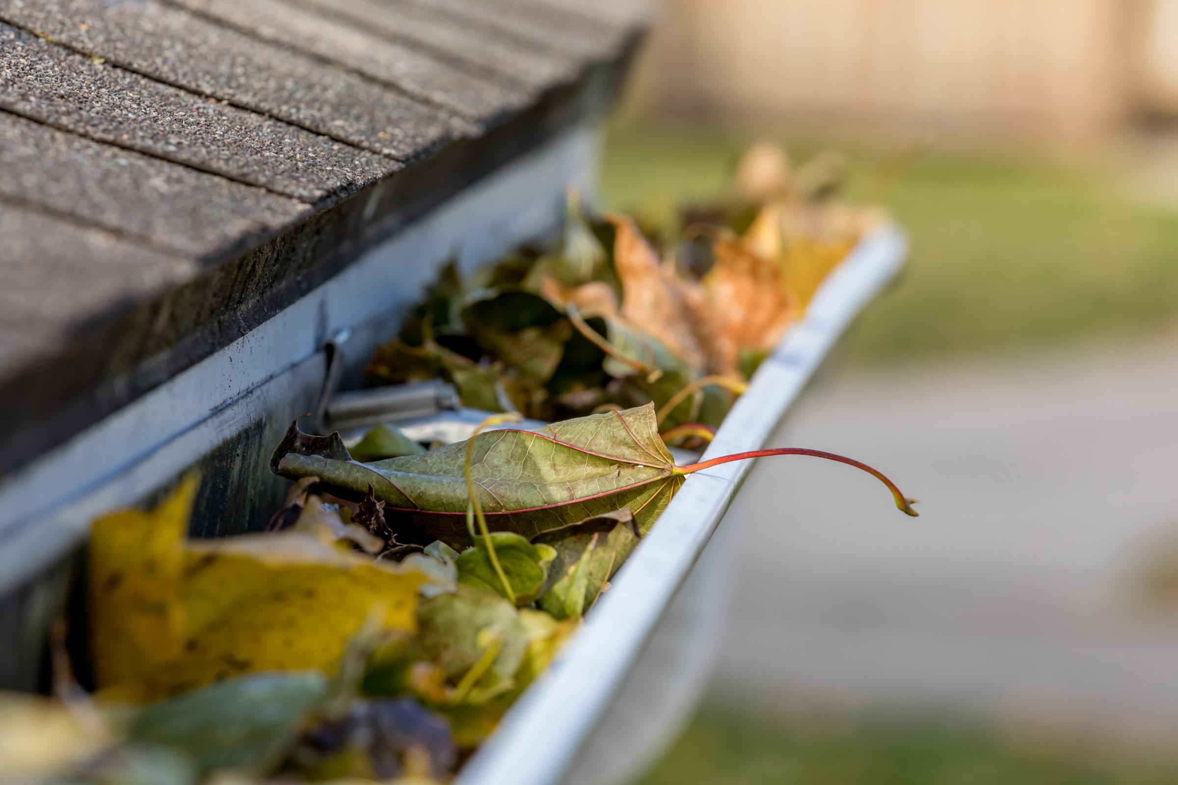 Two men arrested as £5,000 worth of guttering stolen from Blackburn recovered by police - Vimarsana News