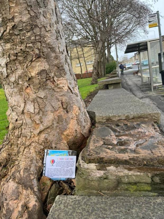 Lancashire Telegraph: The books are being hidden in all sorts of places across Great Harwood