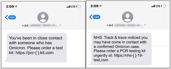 Lancashire Telegraph: Fake test order sites. (Proofpoint) Lancashire Telegraph: Fake test order sites. (Proofpoint)