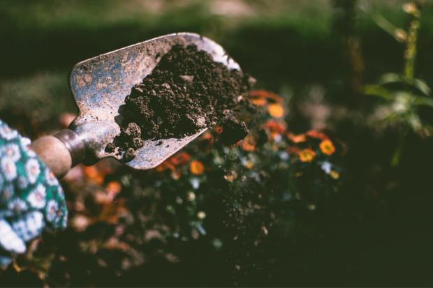 Lancashire Telegraph: A trowel filled with dirt. Credit: Canva