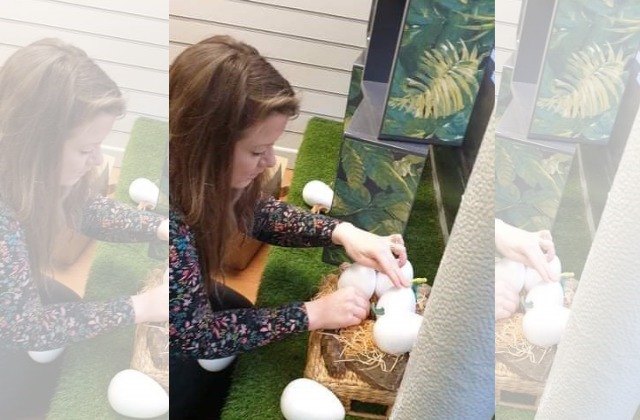 Company help with awesome display at East Lancashire Hospice shop - Vimarsana News