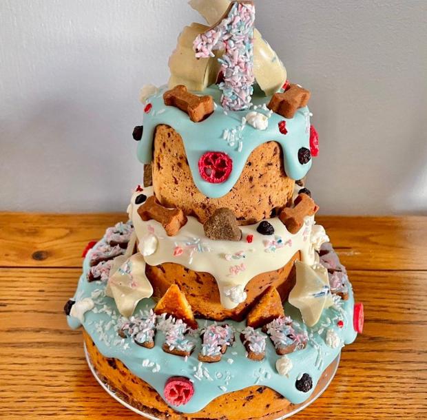 Lancashire Telegraph: A dog birthday cake from Perfect Pet Patisserie and Gifts