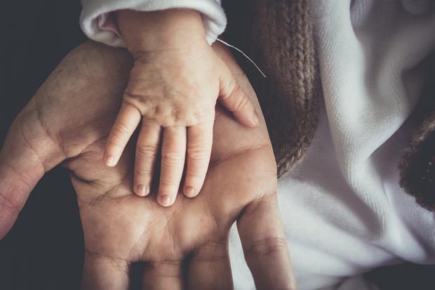 Lancashire Telegraph: A Father and child's hand next to each other. Credit: Canva