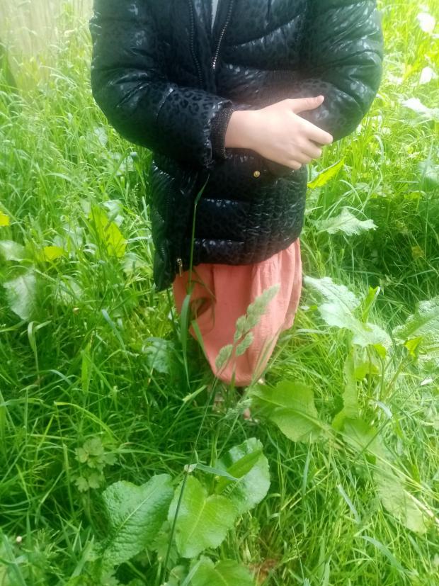 Lancashire Telegraph: Grass up to granddaughter's knees