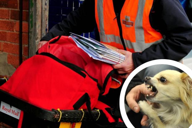 East Lancs posties reported dozens of dog attacks last year says Royal Mail