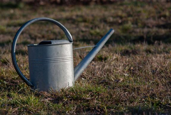 Lancashire Telegraph: Watering can sitting on the grass. Credit: PA Lancashire Telegraph: Watering can sitting on the grass. Credit: PA