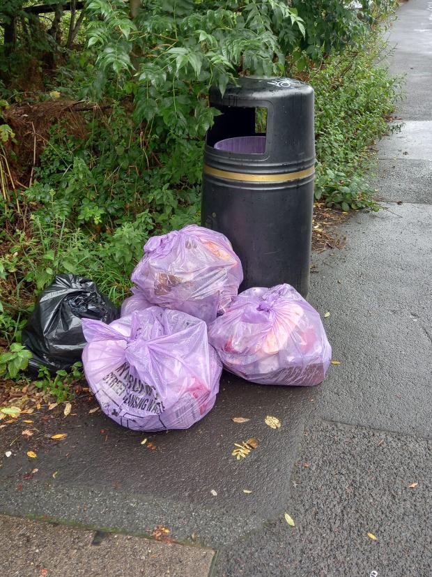 Lancashire Telegraph: Another photo of litter collected at Tinder Brook by Ossy Litter Pickers