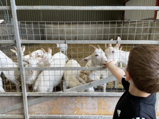 Lancashire Telegraph: There are also real farm animals to say hello to at Ms Dowson 