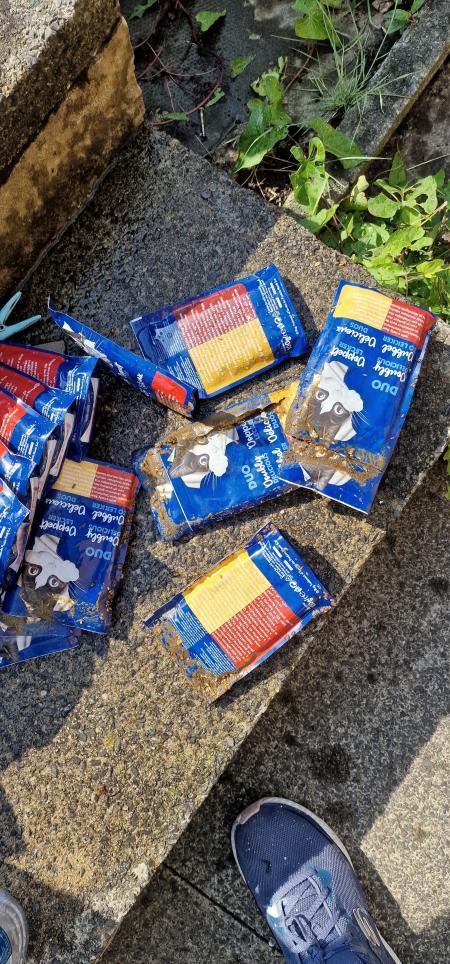 Lancashire Telegraph: Cat food covered in maggots