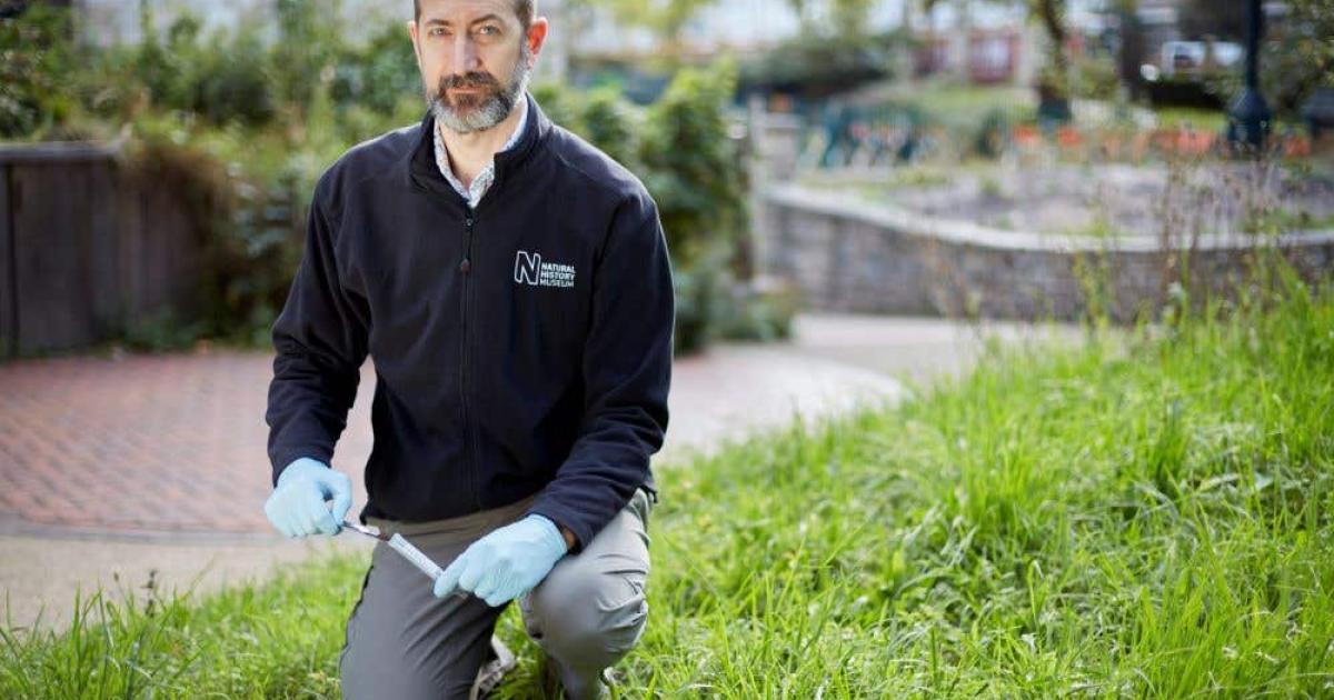 Natural History Museum creates gardens to study how wildlife reacts to climate - Vimarsana News