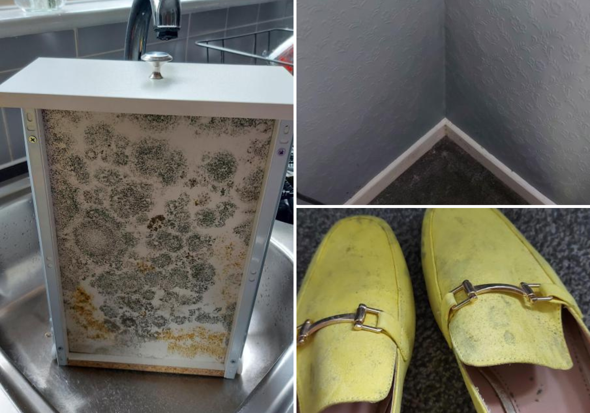 Bacup: Disabled Together Housing tenant says mould ridden house is 'killing' her - Vimarsana News