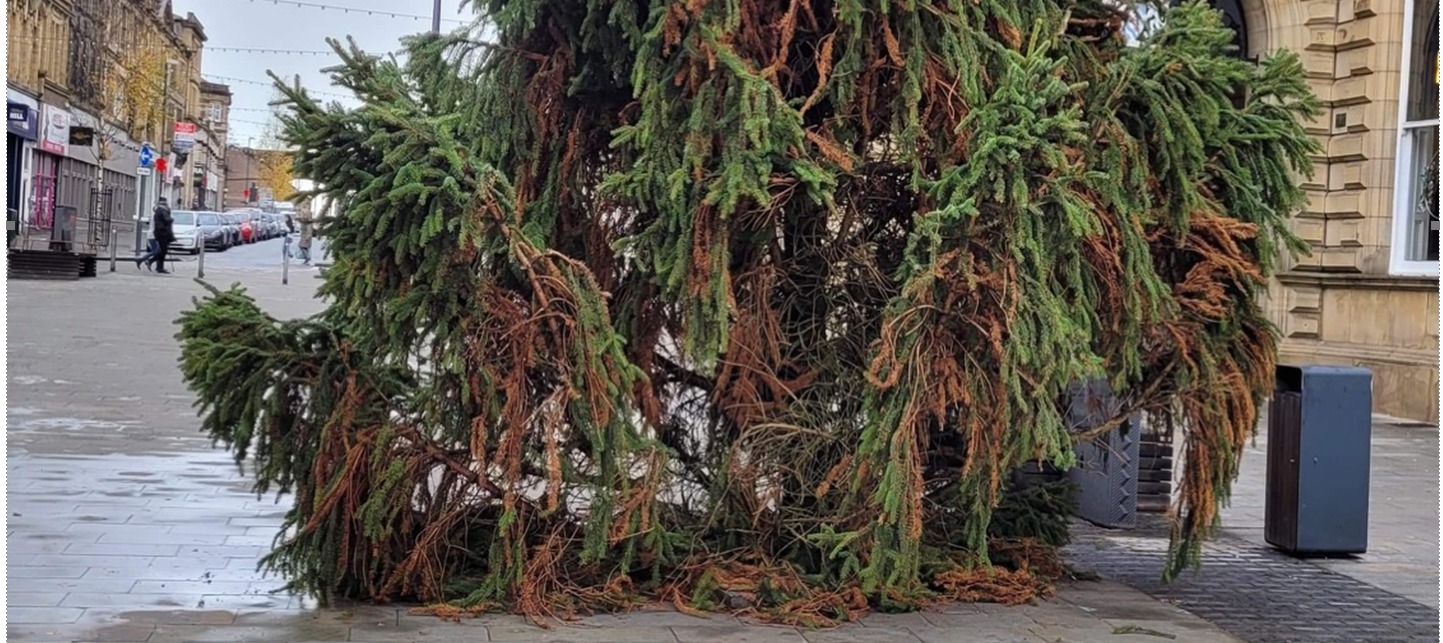 Accrington's 'sad' Christmas tree WAS replaced council admits
