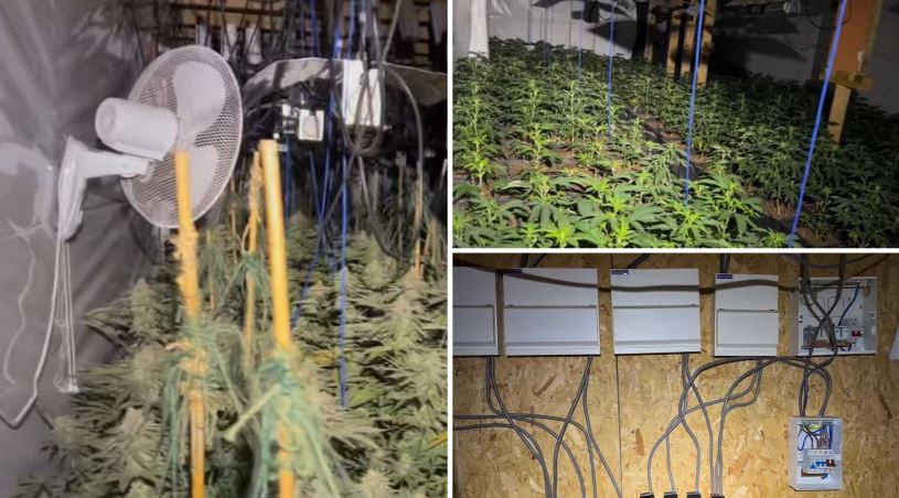 Cannabis farm worth thousands of pounds found in Lancashire village
