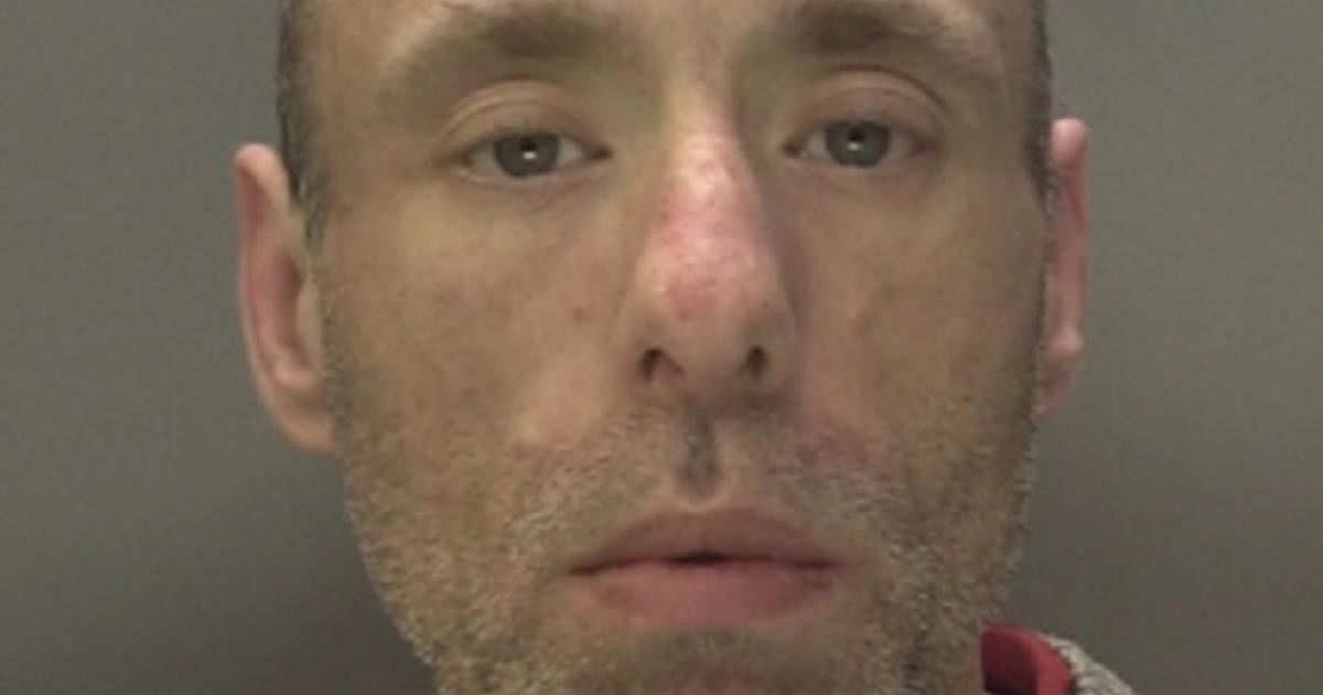 Robber whose frail victim, 81, later died is jailed for her 'cowardly' killing - Vimarsana News