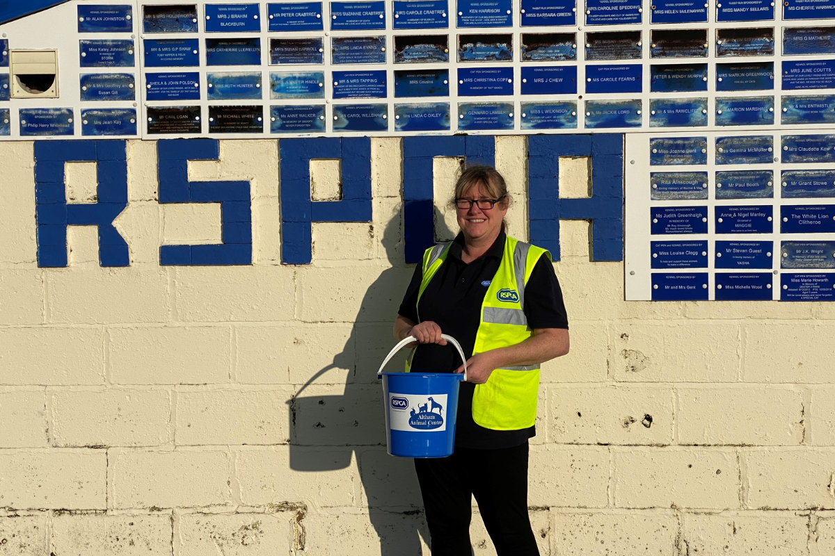 RSPCA Lancashire East issues warning to residents over charity buckets - Vimarsana News