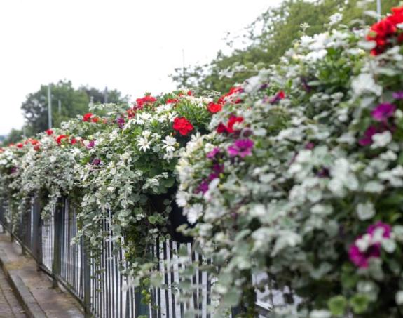 Lancashire Telegraph: Rawtenstall in bloom Lancashire Telegraph: Rawtenstall in bloom