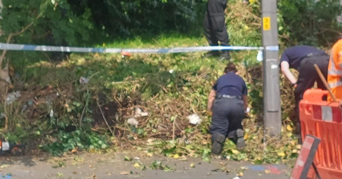 Police seen searching by road in David Read murder probe - Vimarsana News