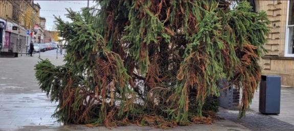 Lancashire Telegraph: Last year's sad tree in Accrington Lancashire Telegraph: Last year's sad tree in Accrington