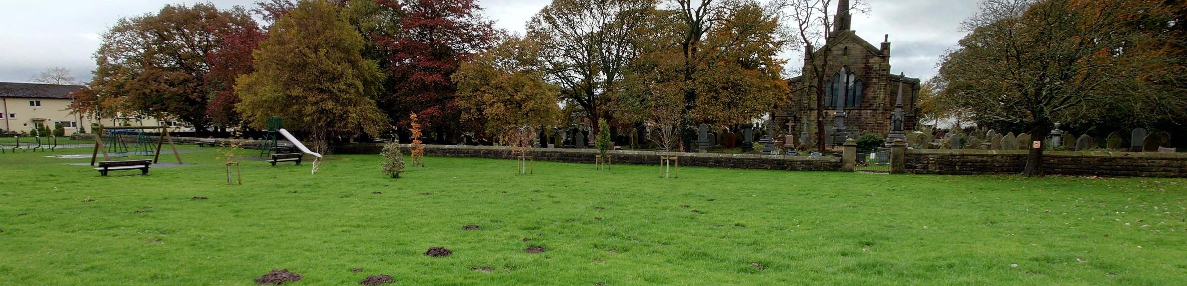 Controversial curb on 'jubilee' trees axed near village play area - Vimarsana News