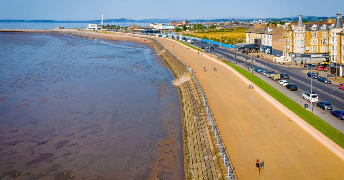 Are dogs allowed on Morecambe's beaches? Rules to follow - Vimarsana News