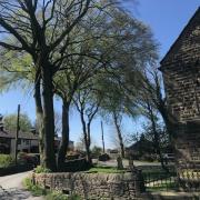 The Beech tree and church