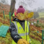 Tree planting in the Ribble Valley's  Swardean Clough 2018. Pic The Ribble Rivers Trust