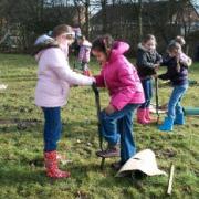 Children from Manor Road school plant the trees