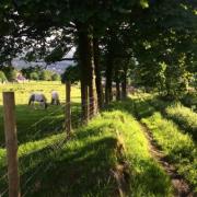 Bailey's Field in Darwen