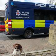 Police dog sniffs out drugs cash and weapons as two arrested during morning raid