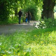 relief: Summertime here at last